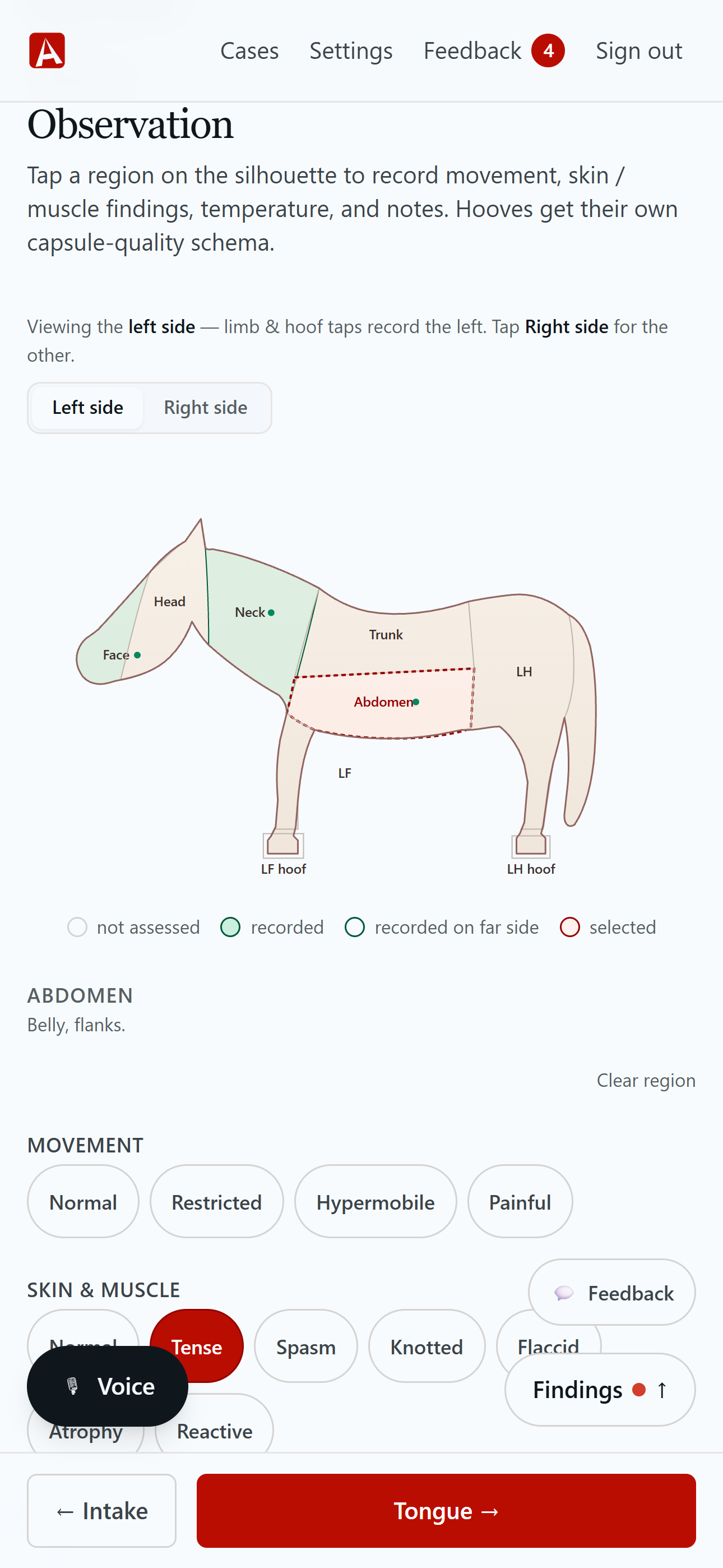 AnimaChart's observation step: a lateral horse silhouette with tappable regions and hooves.